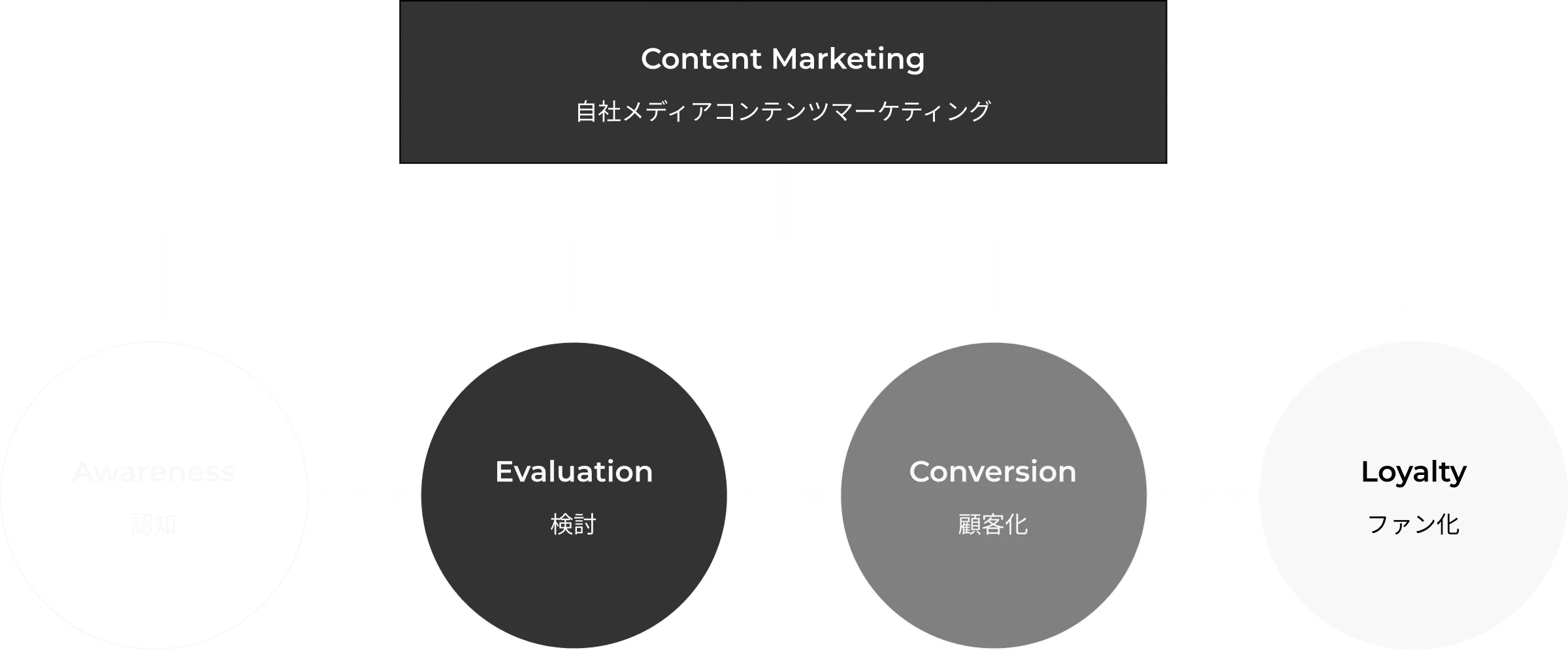 コンテンツマーケティングの流れ：認知・興味関心・比較検討・ファン化のサイクル